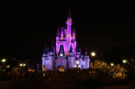 magic kingdom castle. Magic Kingdom Castle