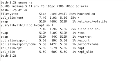 Project Indiana - df output
